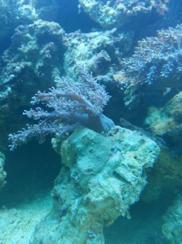 20121121_130708.jpg