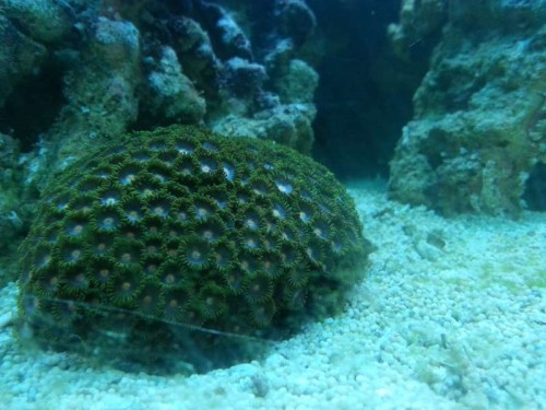 20121121_130754.jpg