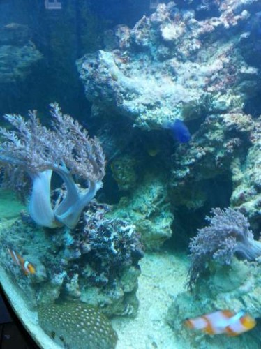 20121121_143447.jpg