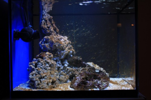 FTS fra siden