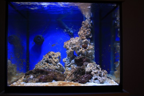FTS