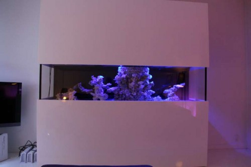 IMG_0296.JPG