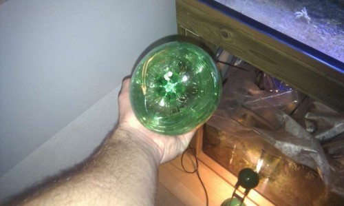 IMAG0714.jpg