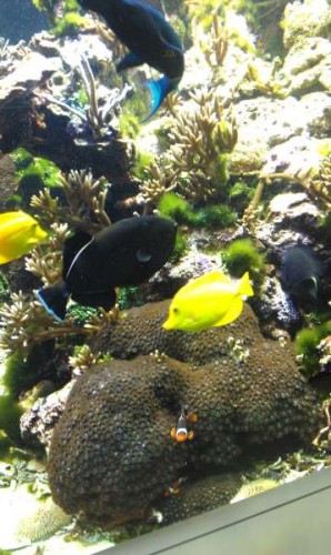 IMAG0155.jpg