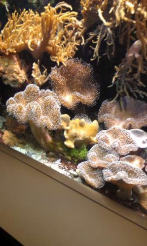 IMAG0163.jpg