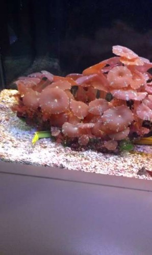 IMAG0169.jpg