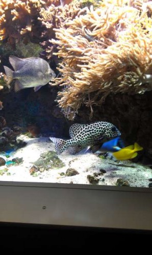 IMAG0177.jpg