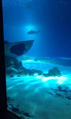 IMAG0206.jpg