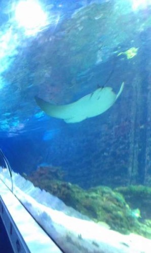 IMAG0210.jpg