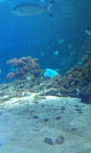 IMAG0217.jpg