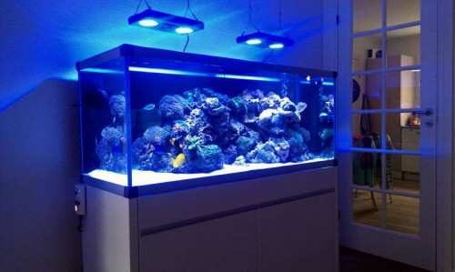 2012-11-27 11.06.55.jpg