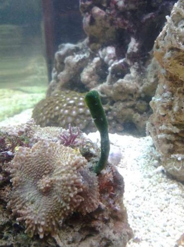 20121126_172124.jpg