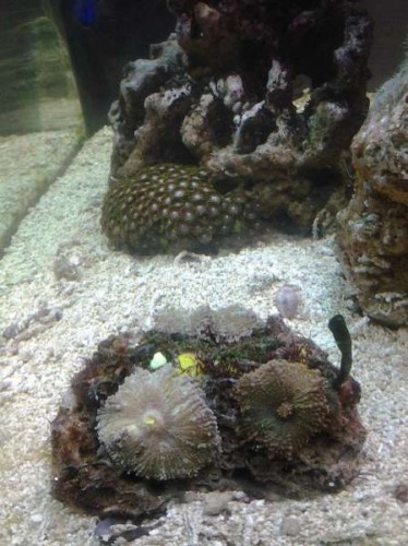 20121126_172141.jpg