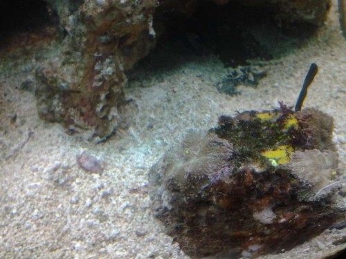 20121126_172021.jpg
