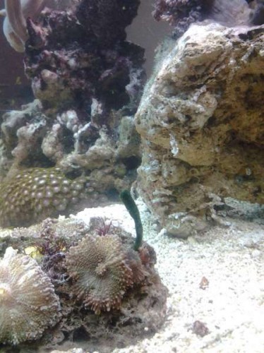20121126_172008.jpg