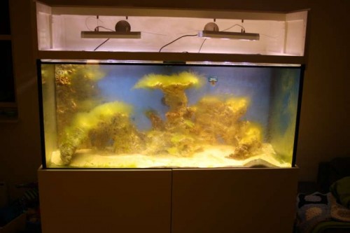 IMG_0083.JPG