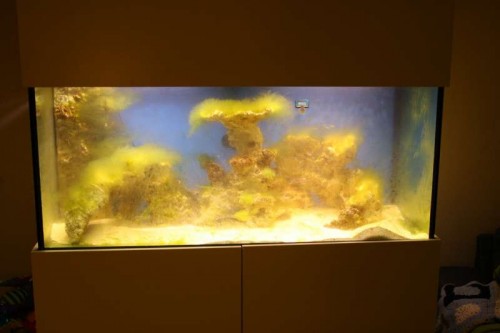 IMG_0084.JPG