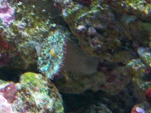 20121126_183806.jpg