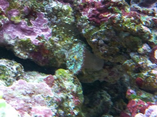 20121126_183814.jpg
