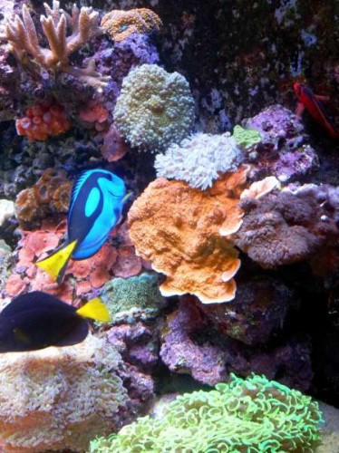 20121110_135054.jpg
