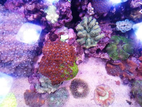 20121128_1158225.jpg