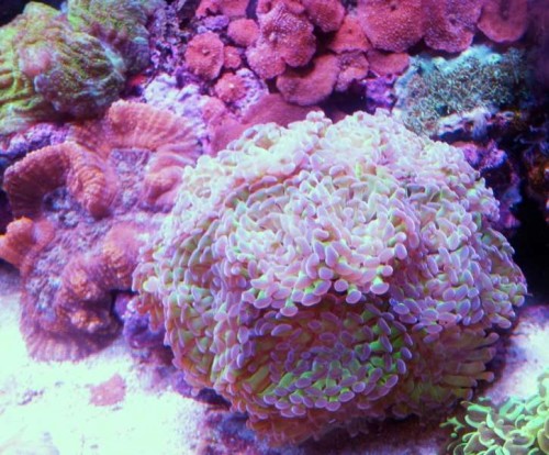 20121128_115747.jpg