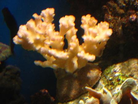 IMG_3037.jpg