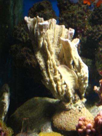 IMG_3036.jpg