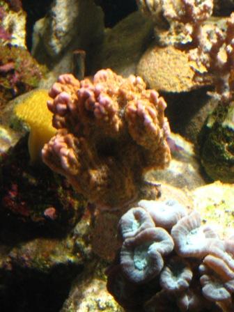 IMG_3035.jpg