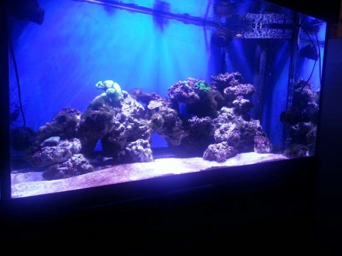 20121126_200925.jpg