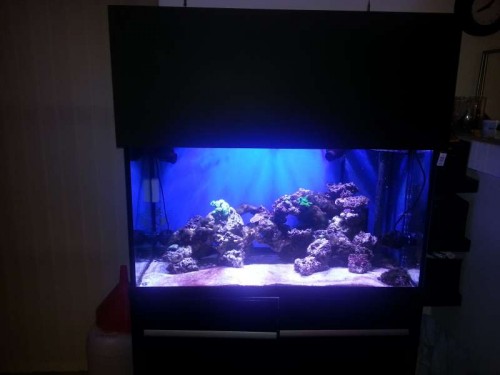 20121126_200651.jpg