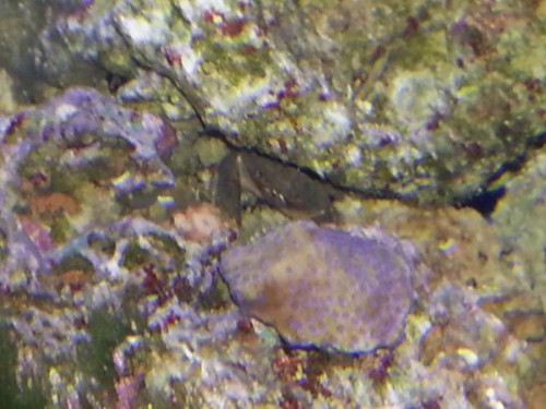 20121129_215136.jpg