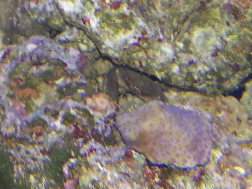 20121129_215144.jpg