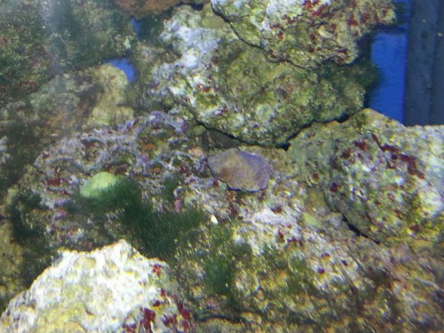 20121129_215153.jpg