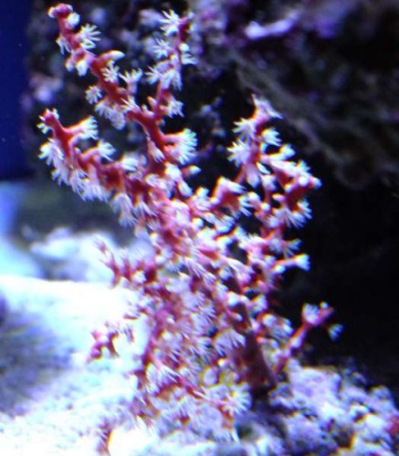 DSCF8162.jpg
