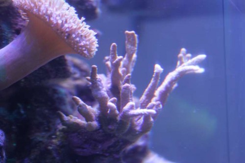 05122012 (27).JPG (27.53 KiB) Vist 1455 gange Kan I hjælpe med navnet 4?