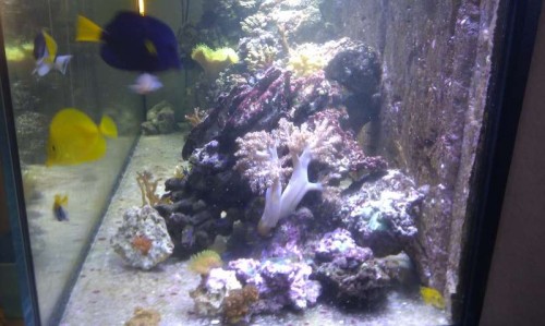 IMAG0717.jpg