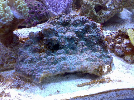 08032007220.jpg