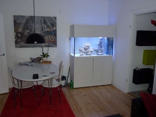 Akvariet som helhed