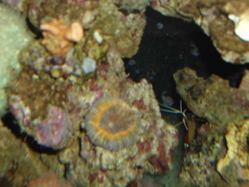DSC00573.JPG