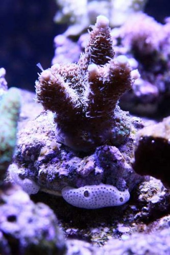 IMG_6518.JPG