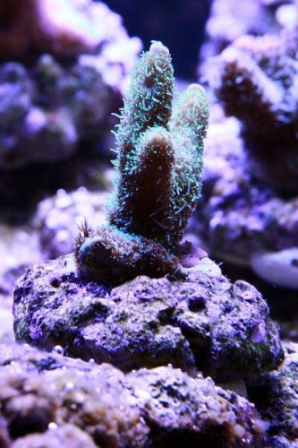 IMG_6520.JPG