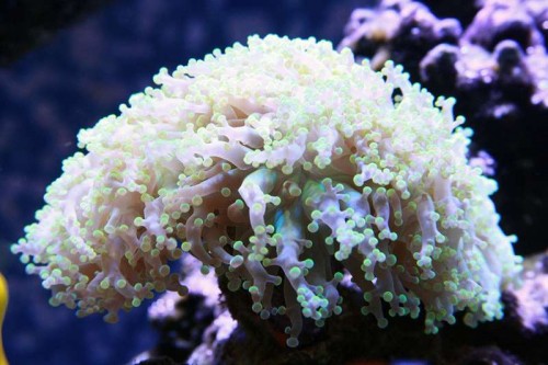IMG_6521.JPG