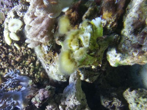 20121211_110735.jpg