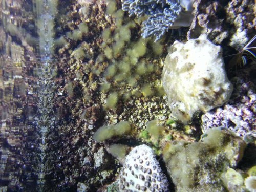 20121211_110742.jpg