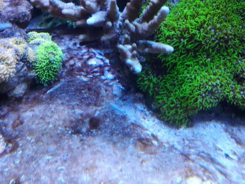 2012-12-10 19.23.19.jpg
