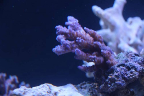 IMG_5149.JPG