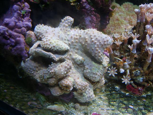 1 (Small).JPG