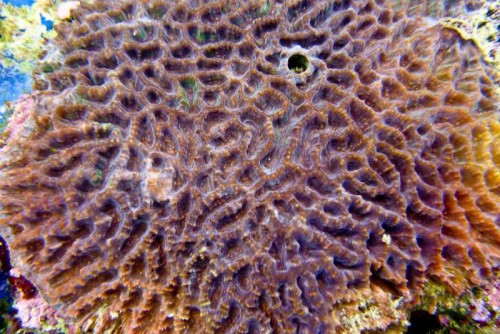 121212 Decocean (59 of 114).jpg