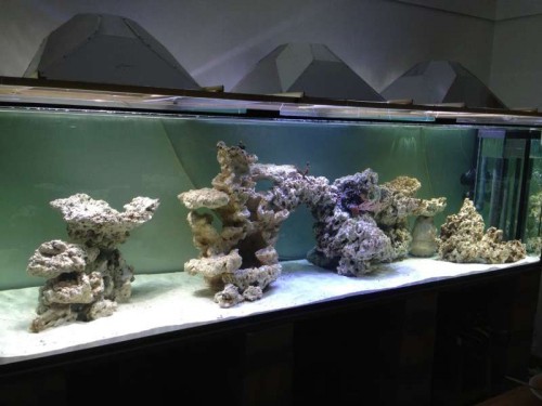FTS.JPG